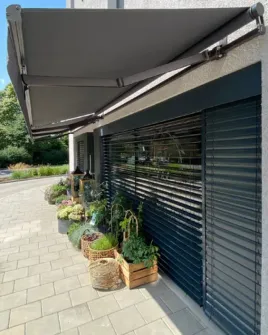 Jakou markýzu si vybrat a kdy je nejlepší čas si ji objednat?