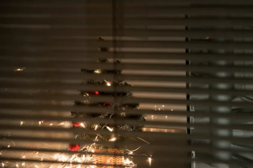 Vnitřní žaluzie MAX