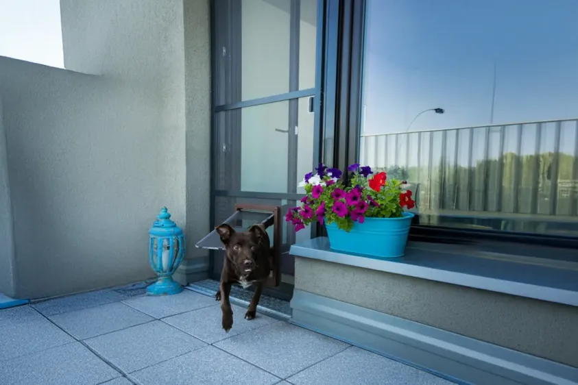 Dveřní síť proti hmyzu Extra